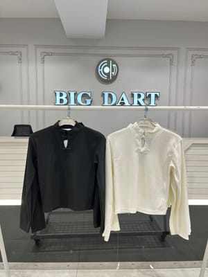 Bigdart Women Clothing - MTVR-DA2E4B67
